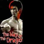 The Way of the Dragon 2017