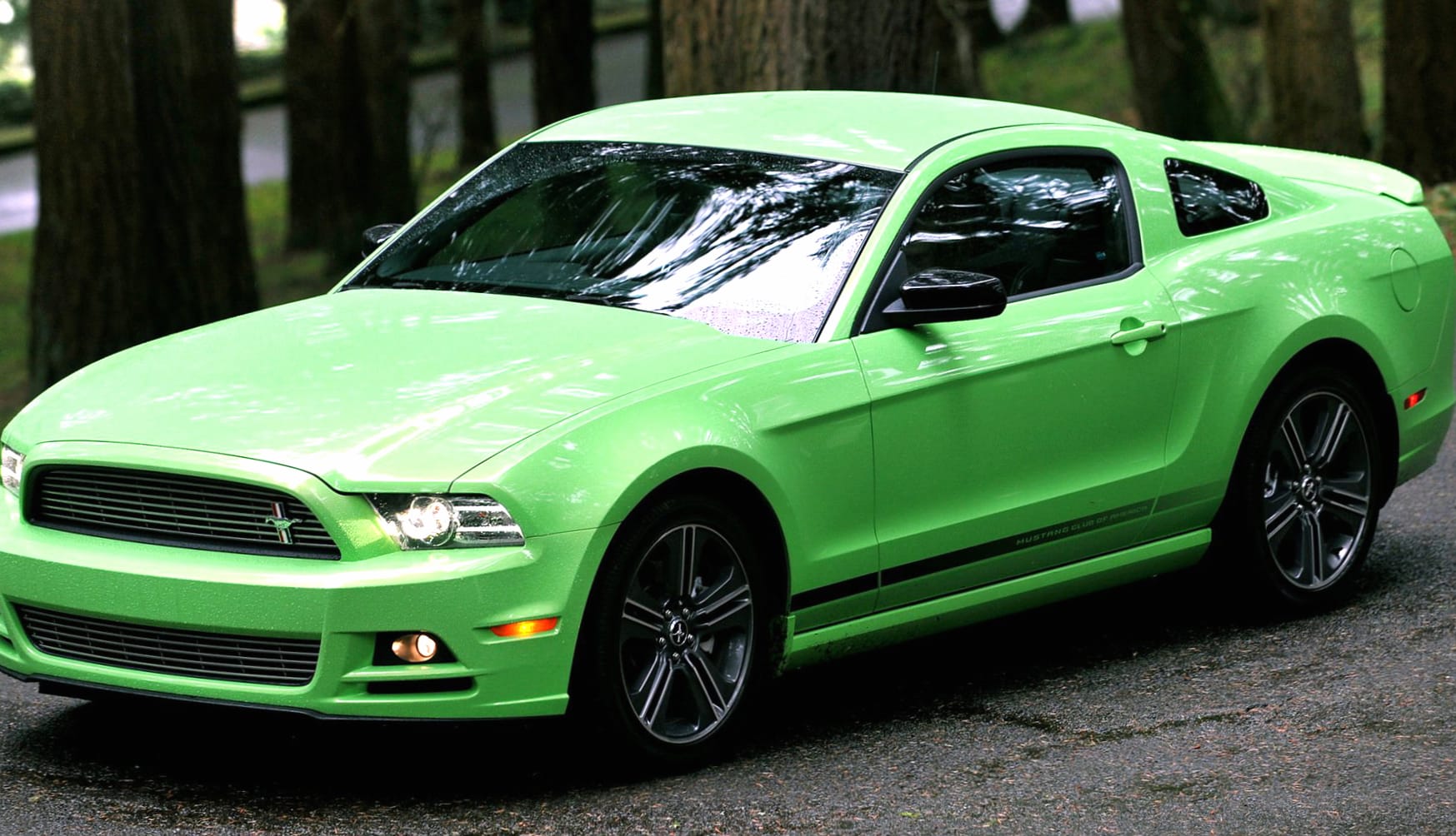 Ford Mustang V6 at 2560 x 1440 HD size wallpapers HD quality