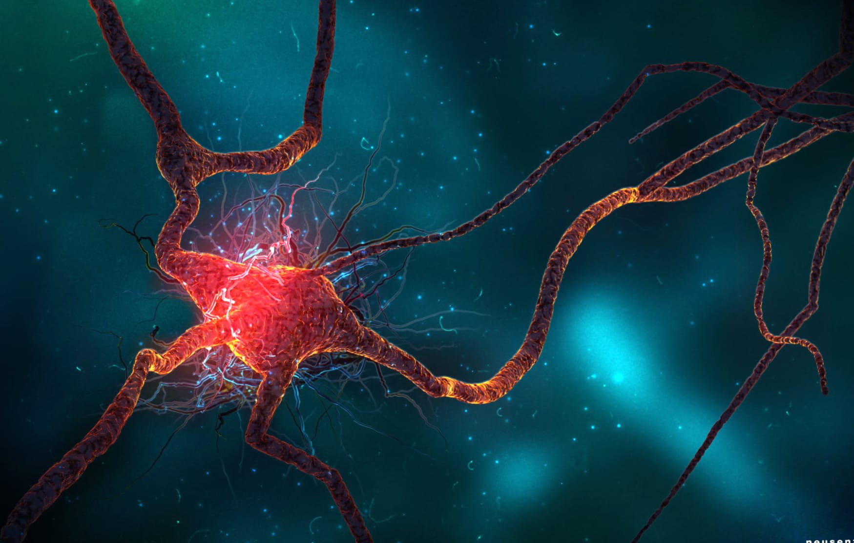 Neuron wallpapers HD quality
