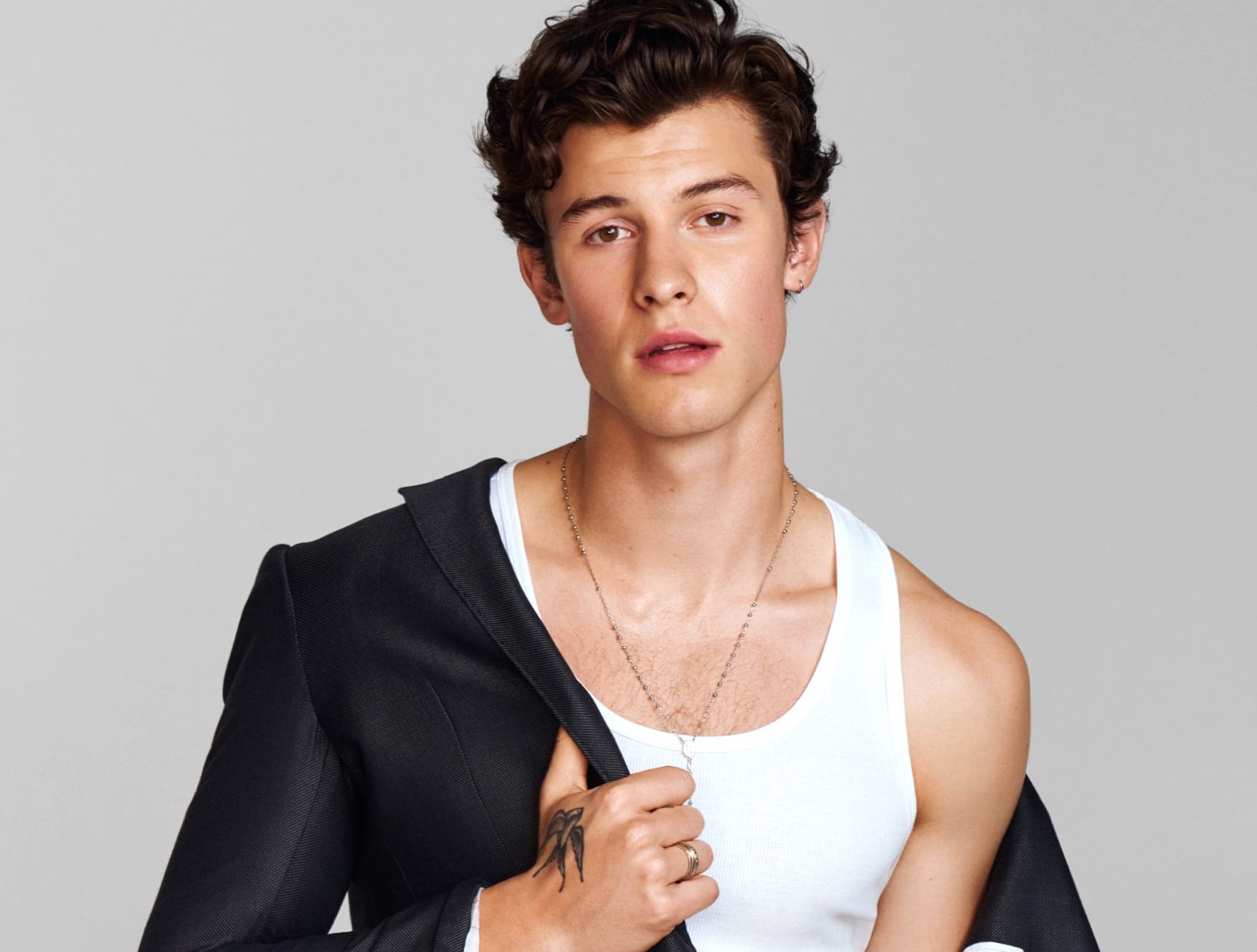 Shawn Mendes at 1024 x 768 size wallpapers HD quality