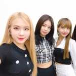 BlackPink free