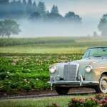 Mercedes-Benz 220S free download