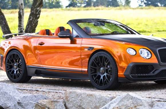 Bentley Continental GTC by Mansory
