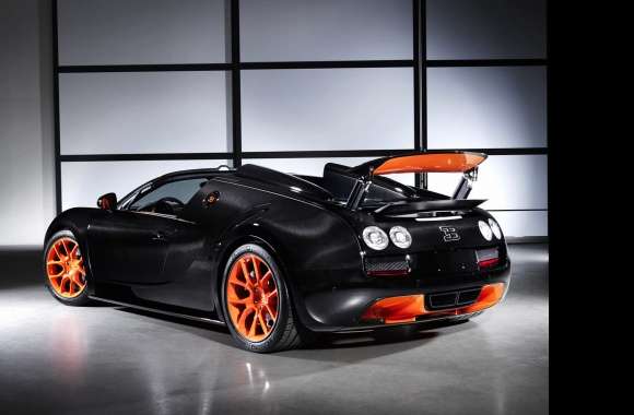 Bugatti Veyron Vitesse World Speed Record