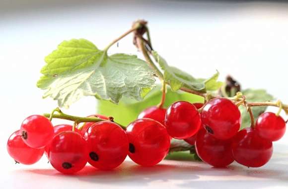 Currants wallpapers hd quality