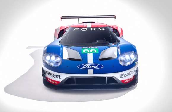 Ford GT Le Mans Racecar