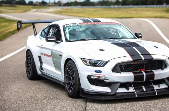 Ford Shelby FP350S Mustang