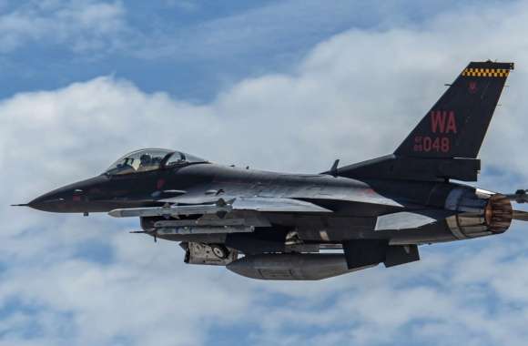General Dynamics F-16 Fighting Falco