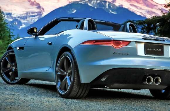 Jaguar F-Type S Convertible