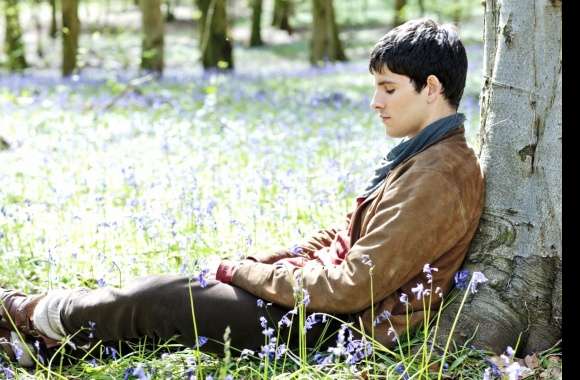 Merlin wallpapers hd quality