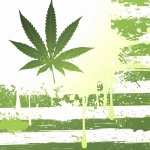 Marijuana wallpapers for android