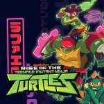 Rise Of The Teenage Mutant Ninja Turtles wallpapers