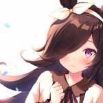 Uma Musume Pretty Derby high quality wallpapers