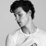 Shawn Mendes wallpapers hd