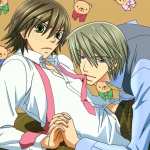 Junjou Romantica desktop wallpaper