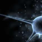 Neuron wallpapers hd