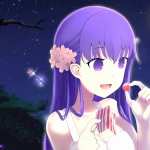 Fate stay Night Movie Heavens Feel new wallpapers