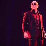 Pitbull high definition wallpapers