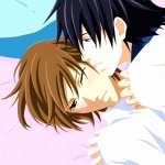 Junjou Romantica free