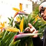 Anderson .Paak wallpapers hd