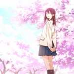 I Want To Eat Your Pancreas high quality wallpapers