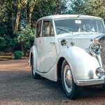 Triumph Renown free