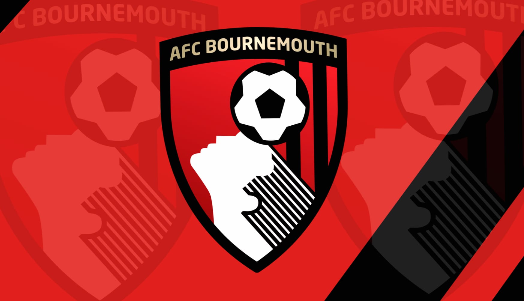 AFC Bournemouth at 1152 x 864 size wallpapers HD quality