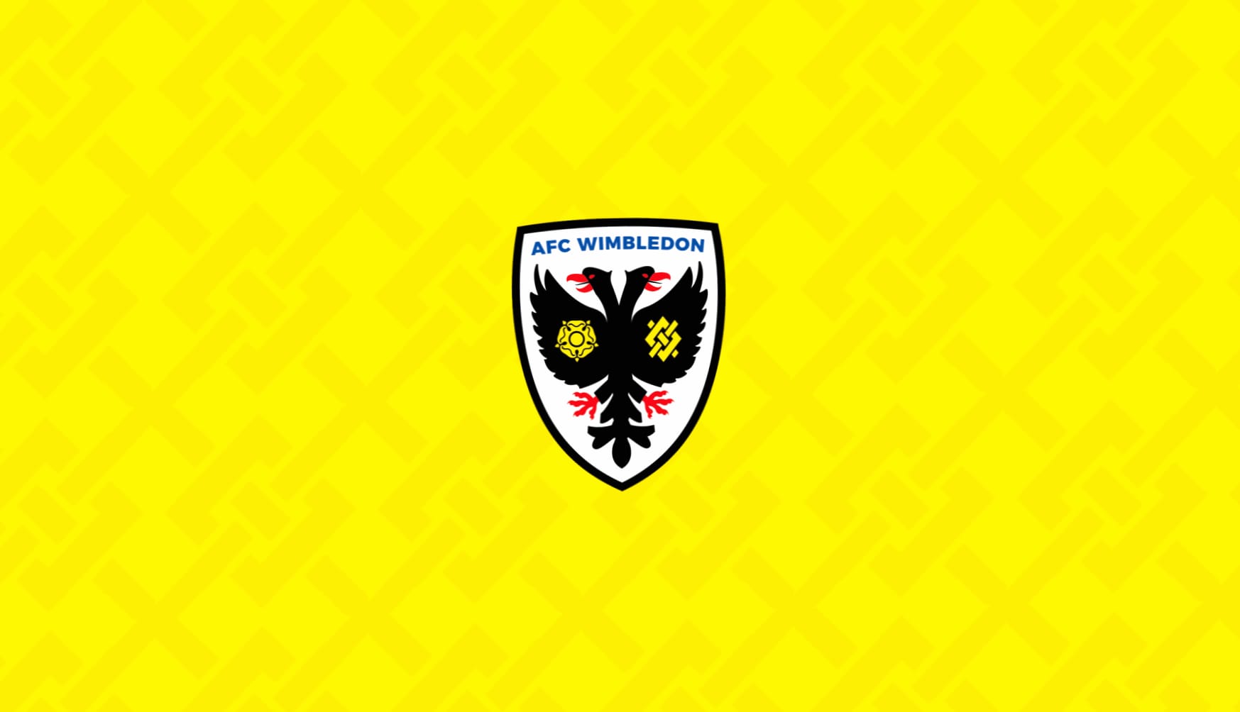 AFC Wimbledon at 1024 x 768 size wallpapers HD quality