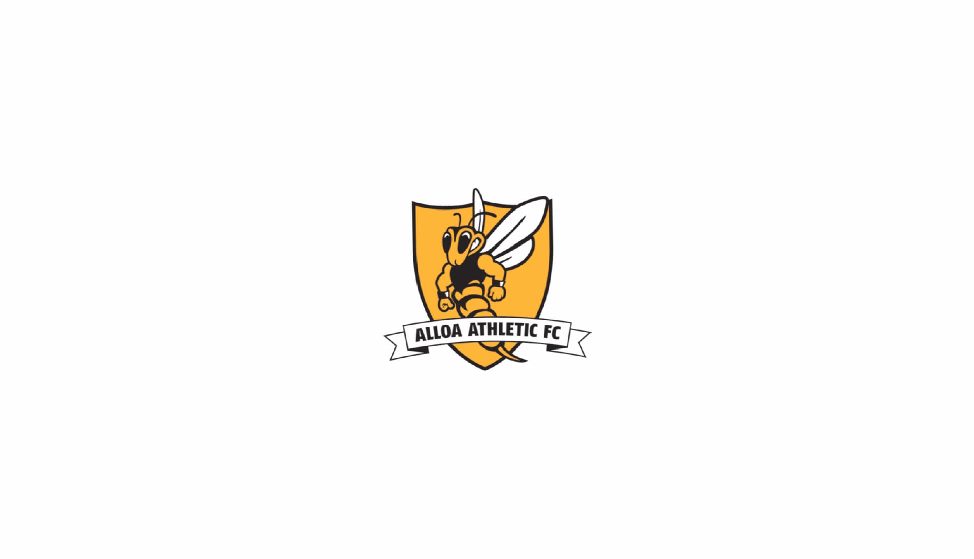 Alloa Athletic F.C at 1152 x 864 size wallpapers HD quality