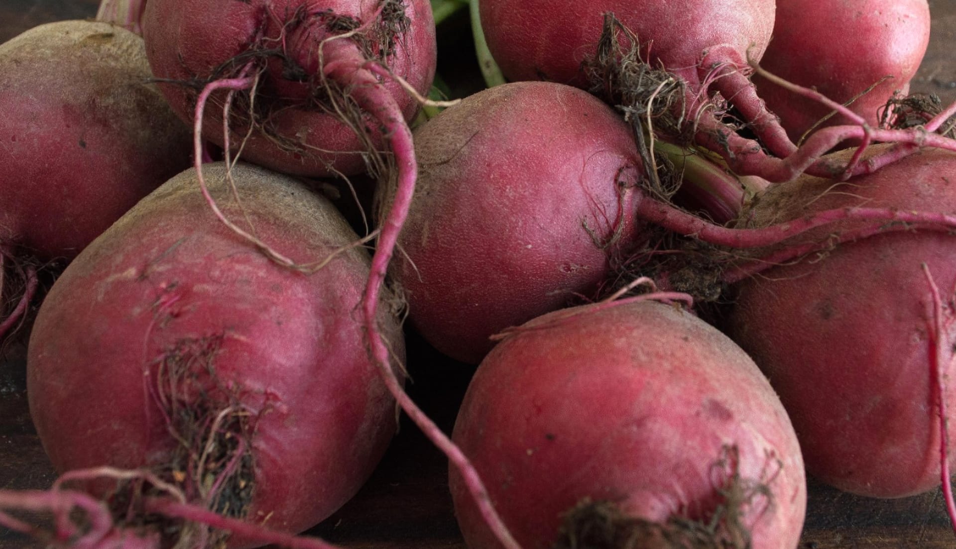 Beet wallpapers HD quality