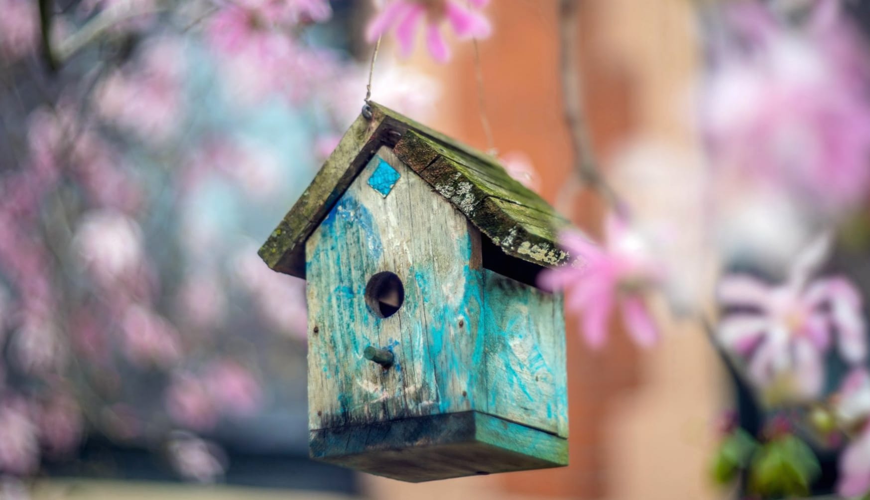 Bird House wallpapers HD quality