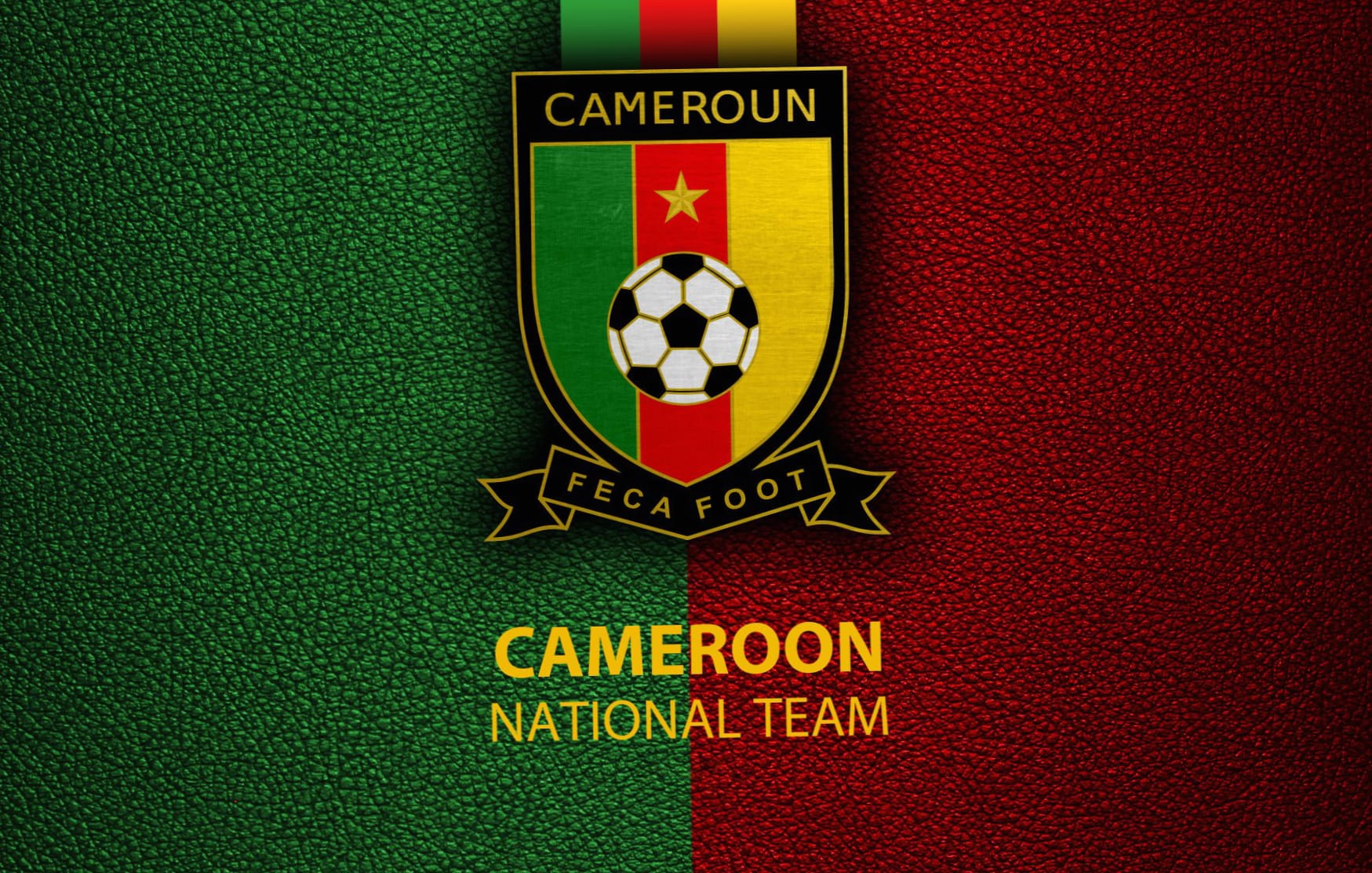 Cameroon National Football Team at 1334 x 750 iPhone 7 size wallpapers HD quality