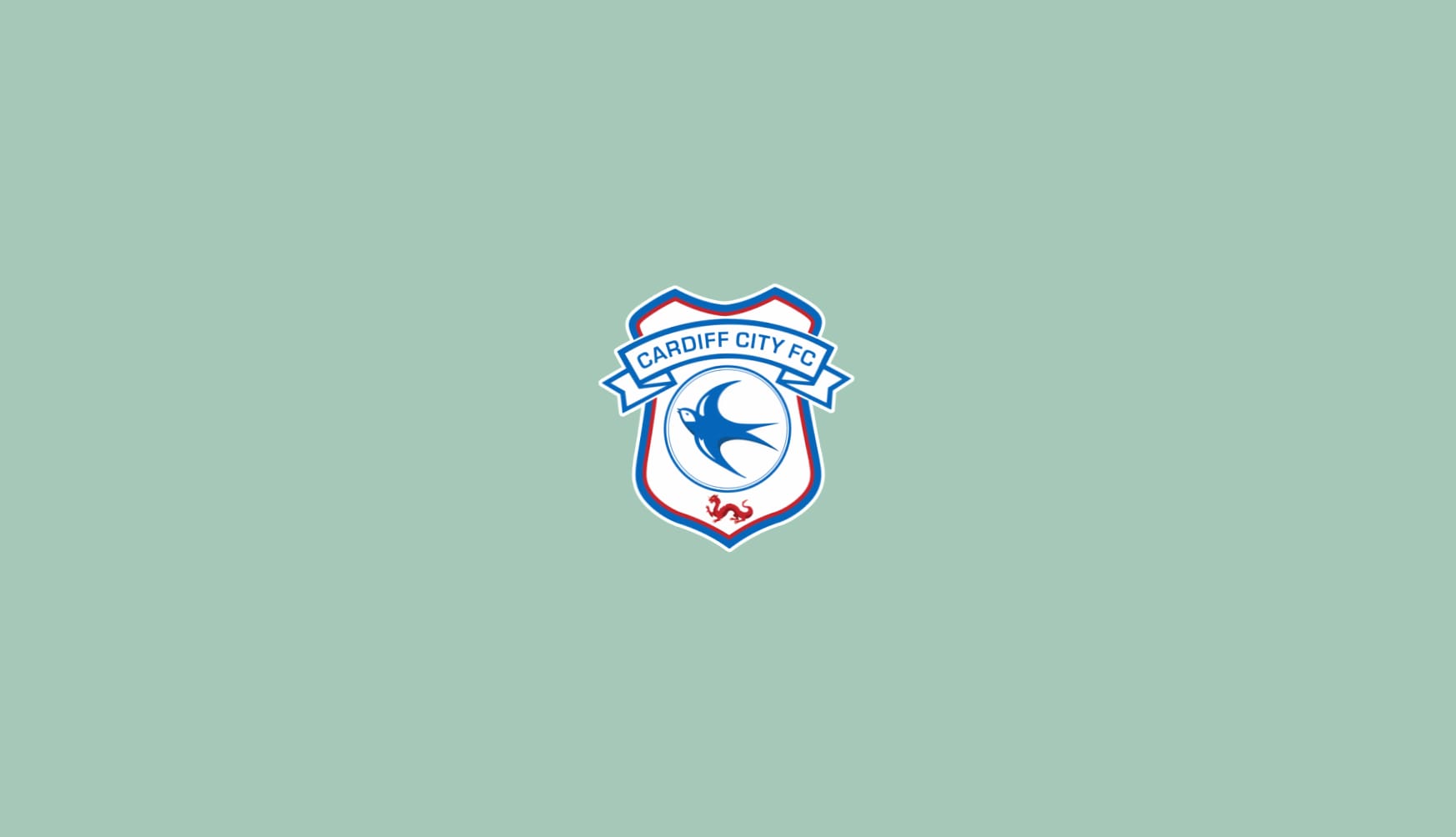 Cardiff City F.C at 1152 x 864 size wallpapers HD quality