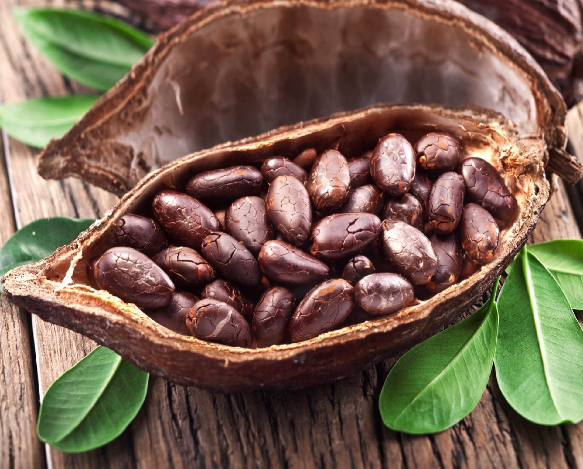 Cocoa Bean at 320 x 480 iPhone size wallpapers HD quality