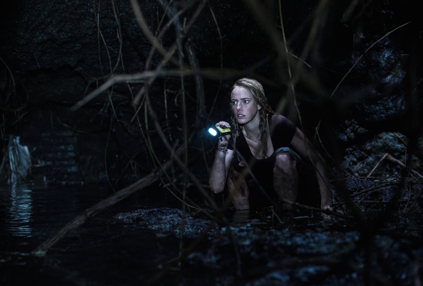 Crawl (2019) at 1600 x 1200 size wallpapers HD quality