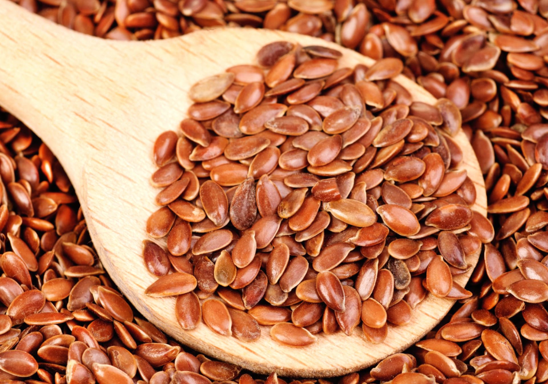Flax at 1152 x 864 size wallpapers HD quality