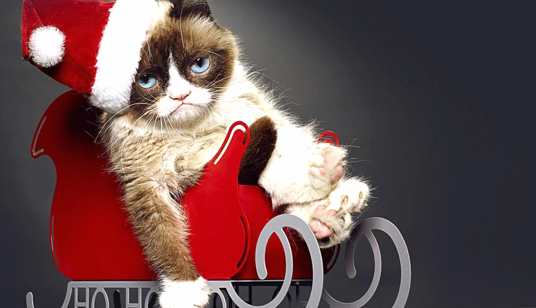Grumpy Cats Worst Christmas Ever at 640 x 1136 iPhone 5 size wallpapers HD quality