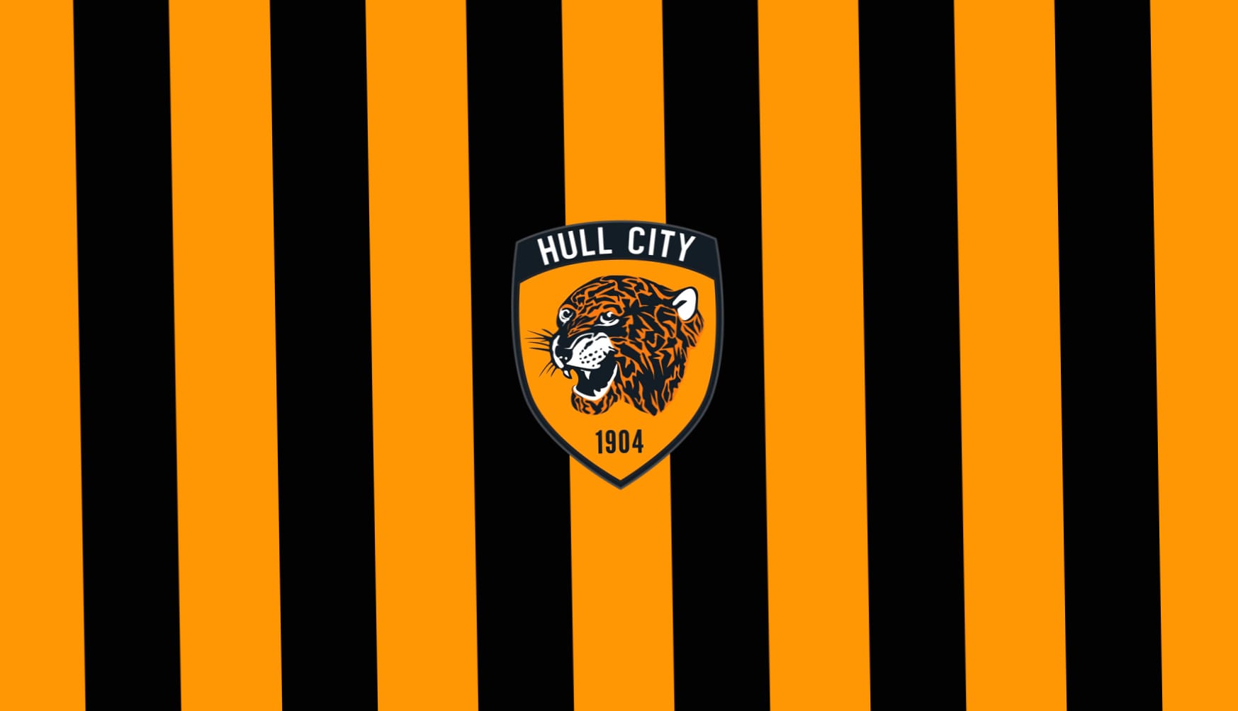Hull City A.F.C at 1024 x 1024 iPad size wallpapers HD quality