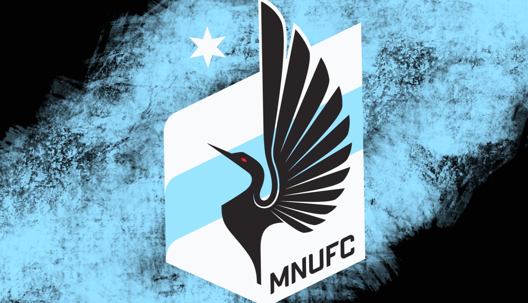 Minnesota United FC at 1280 x 960 size wallpapers HD quality