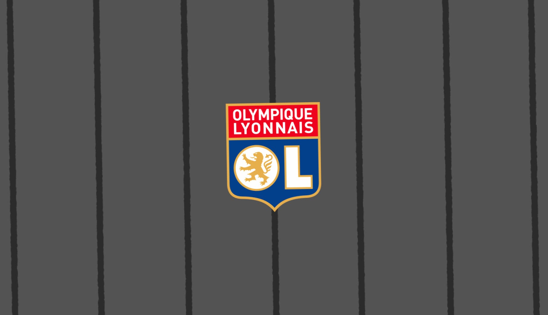 Olympique Lyonnais at 640 x 960 iPhone 4 size wallpapers HD quality