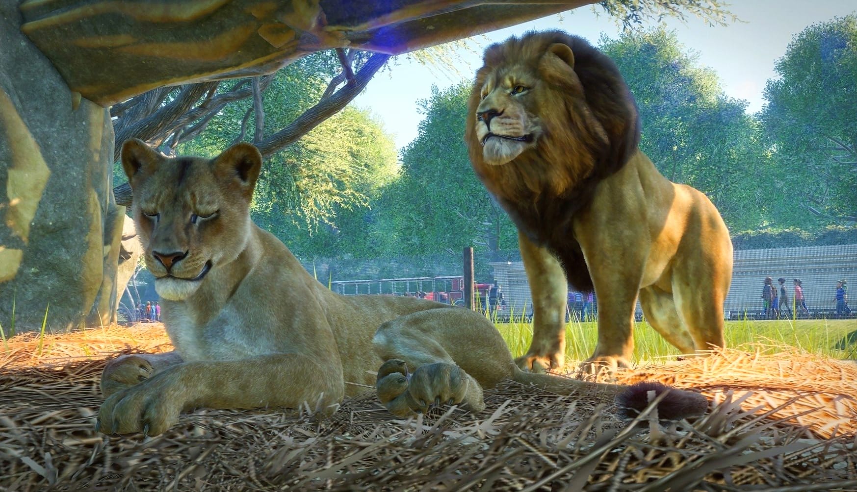 Planet Zoo at 640 x 960 iPhone 4 size wallpapers HD quality