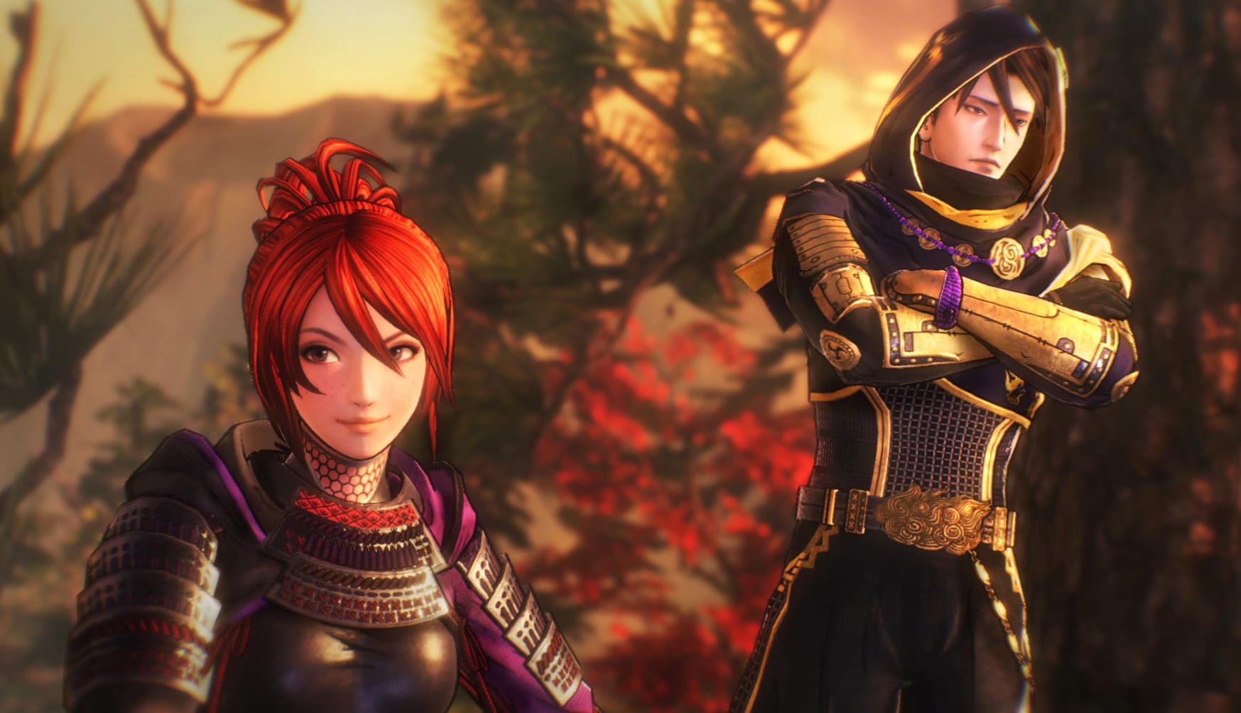 Samurai Warriors 5 wallpapers HD quality