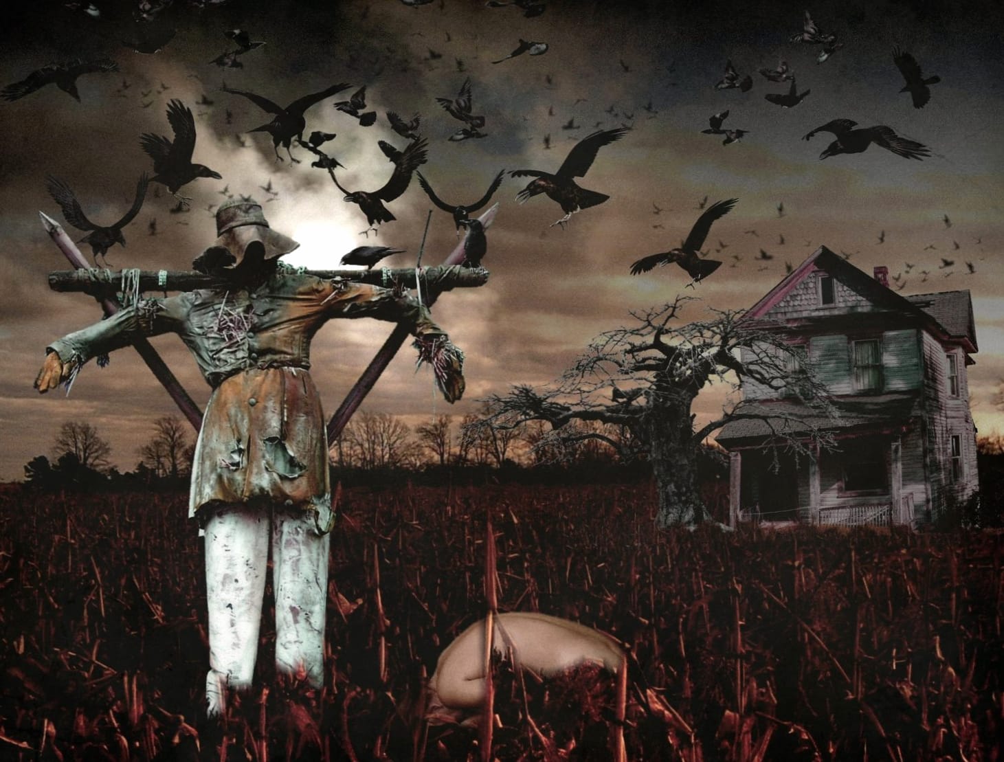 Scarecrow at 1152 x 864 size wallpapers HD quality