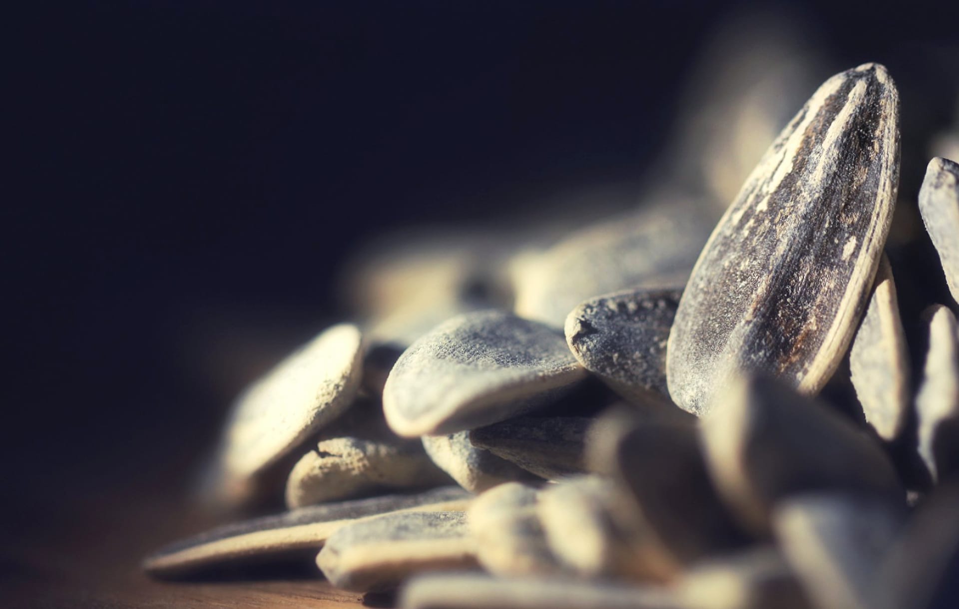 Seeds at 640 x 1136 iPhone 5 size wallpapers HD quality