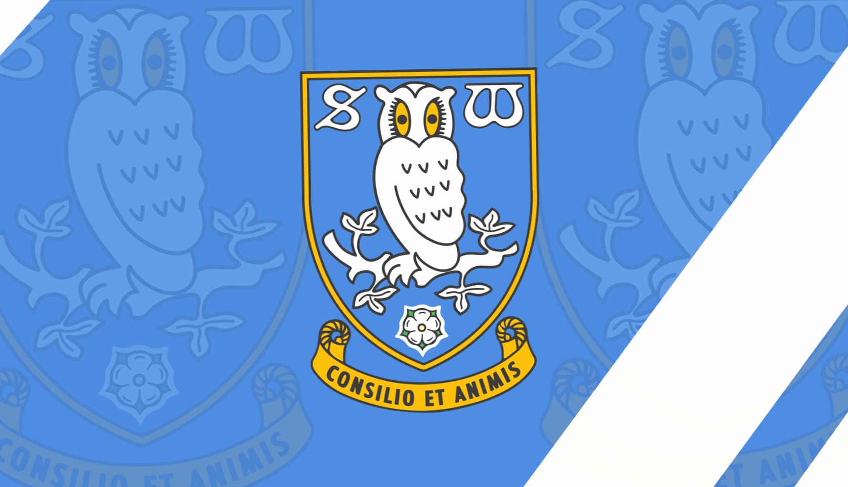 Sheffield Wednesday F.C at 1024 x 768 size wallpapers HD quality