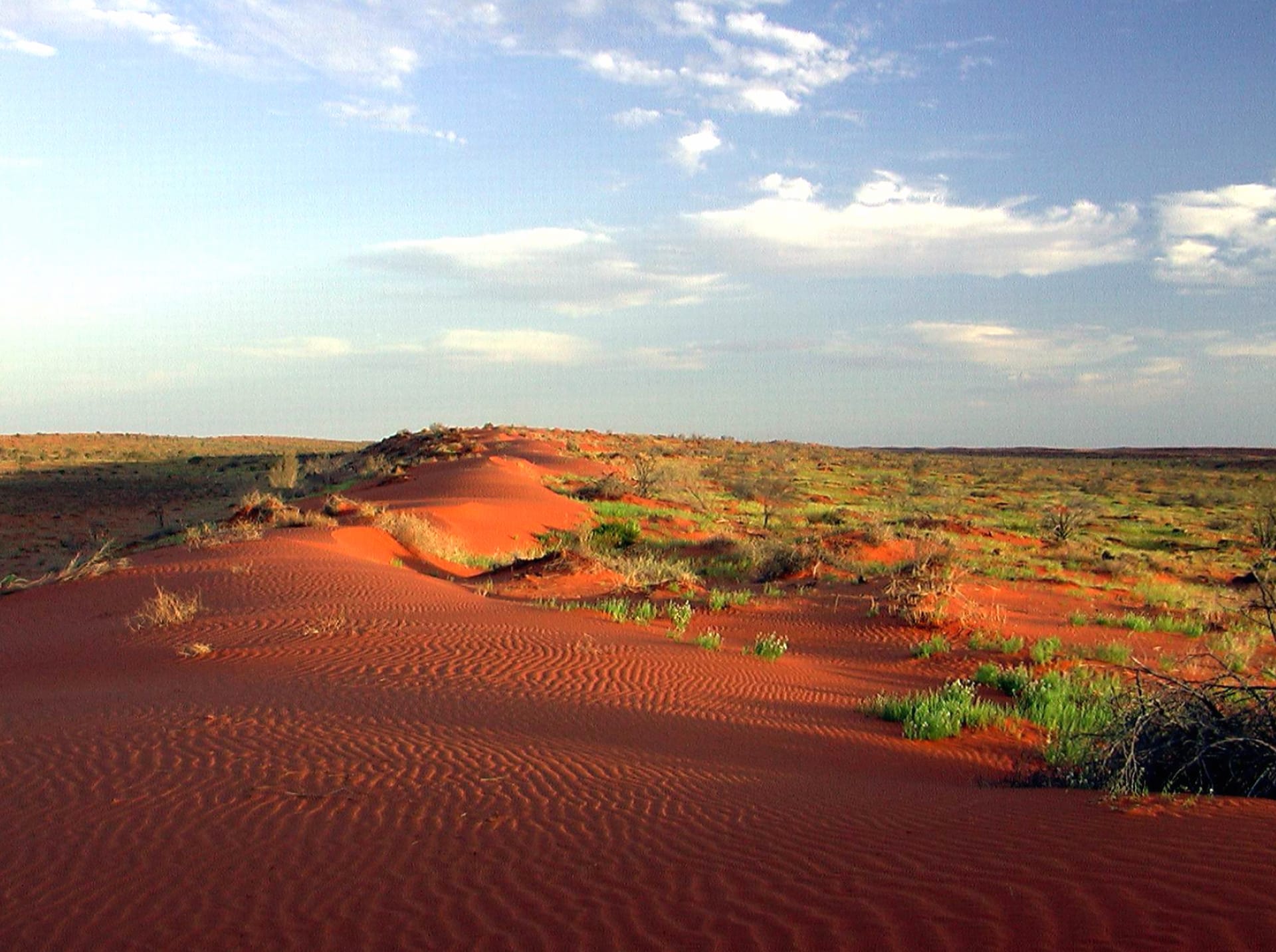 Simpson Desert wallpapers HD quality