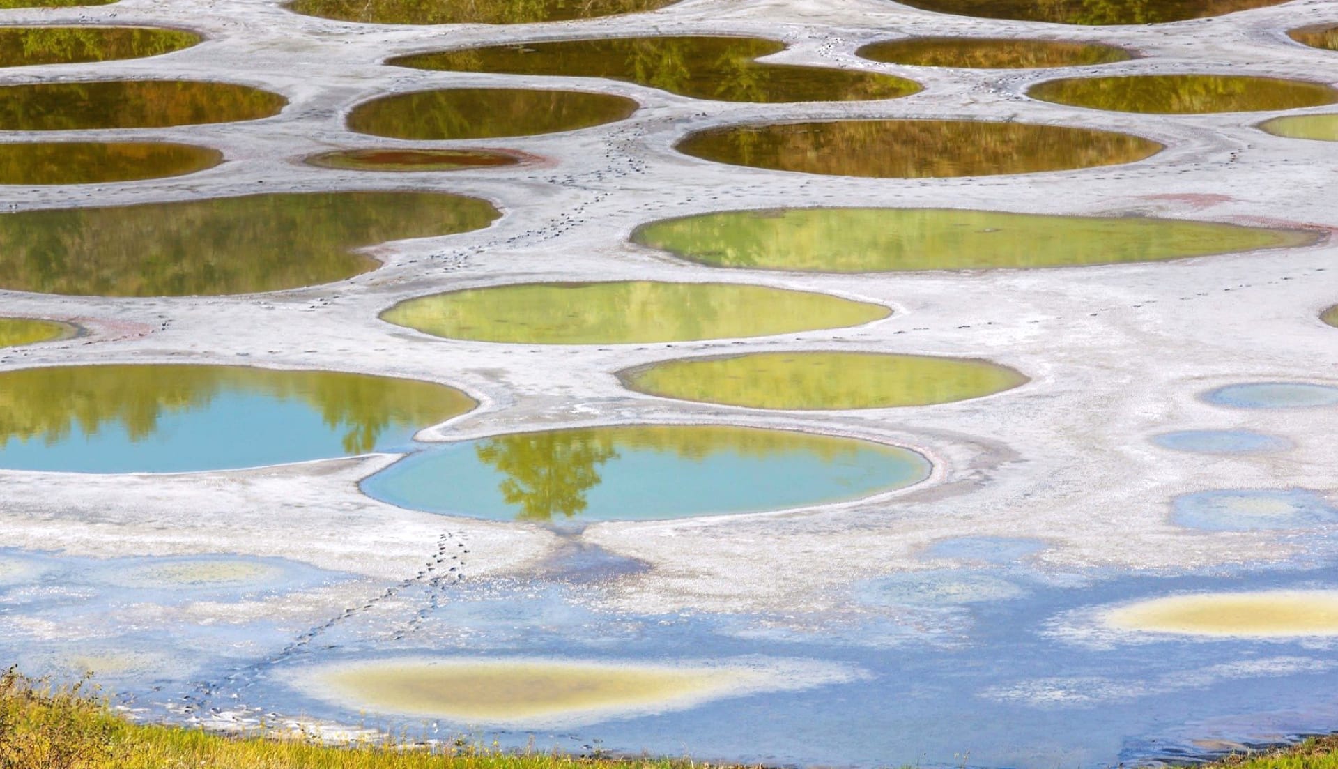 Spotted Lake at 750 x 1334 iPhone 6 size wallpapers HD quality