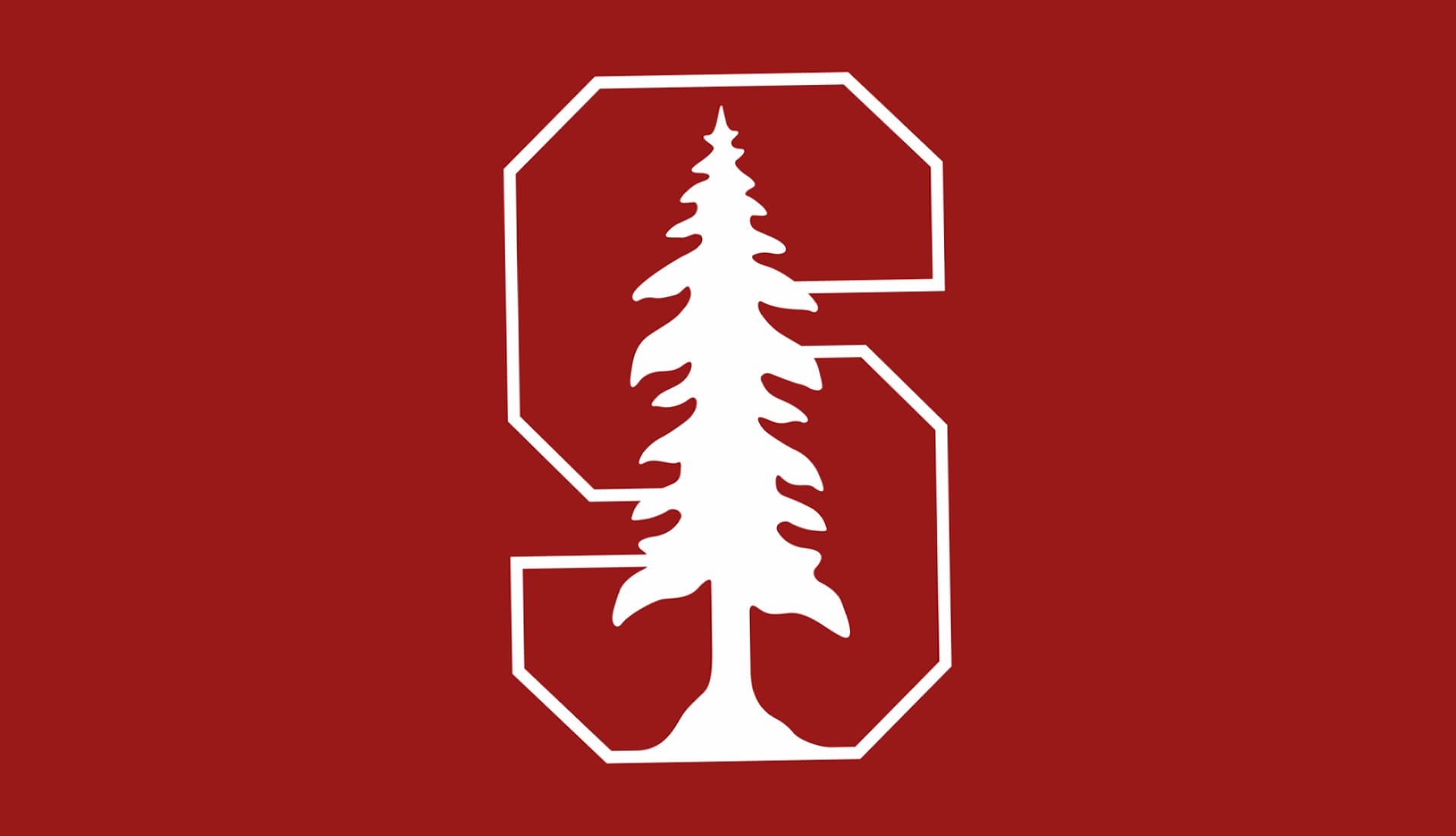 Stanford Cardinal Football at 1024 x 768 size wallpapers HD quality
