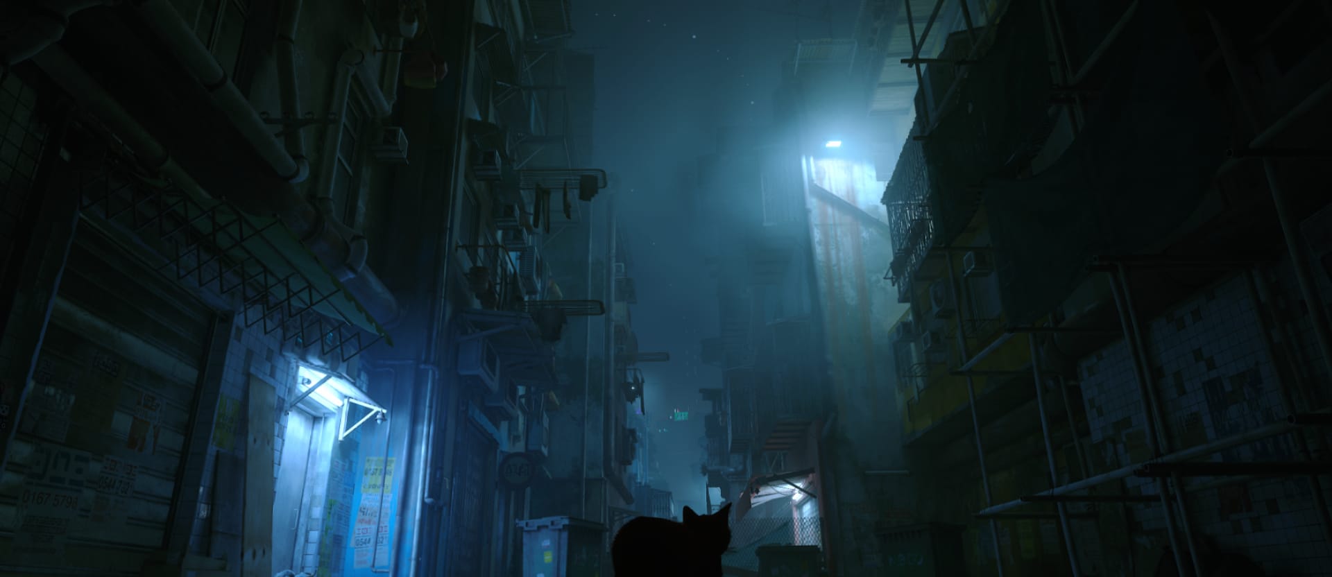 Stray-Wallpaper at 320 x 480 iPhone size wallpapers HD quality