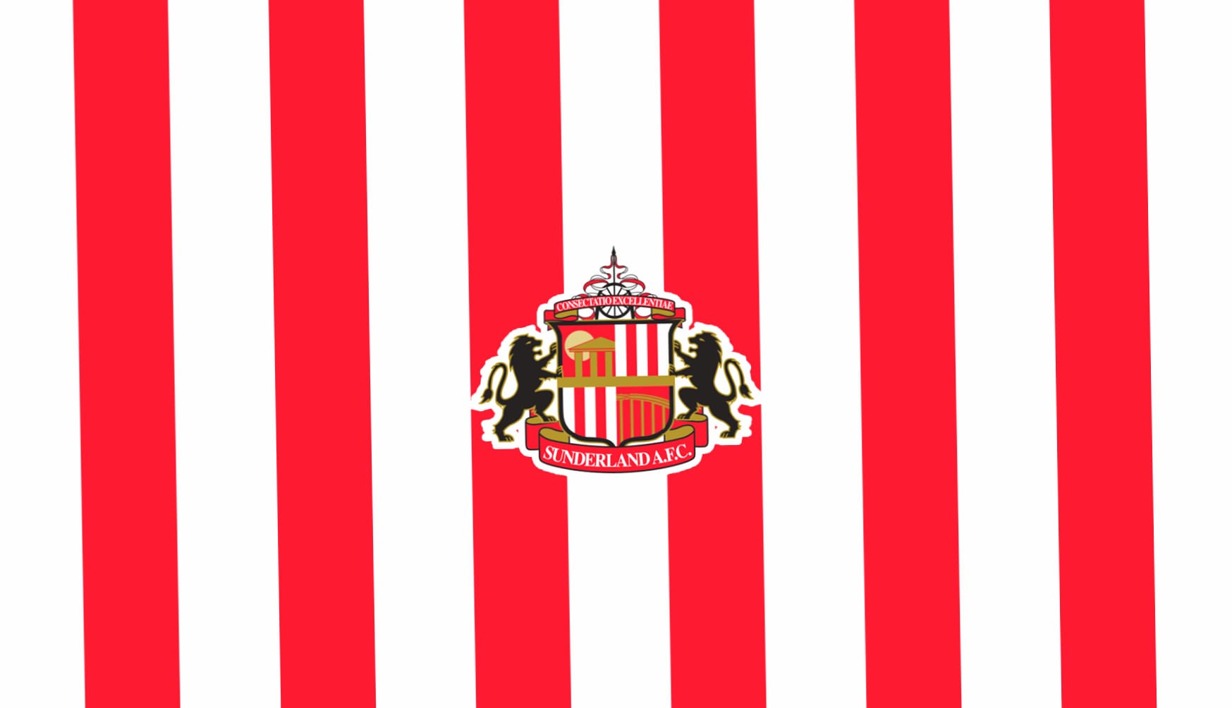 Sunderland A.F.C at 750 x 1334 iPhone 6 size wallpapers HD quality